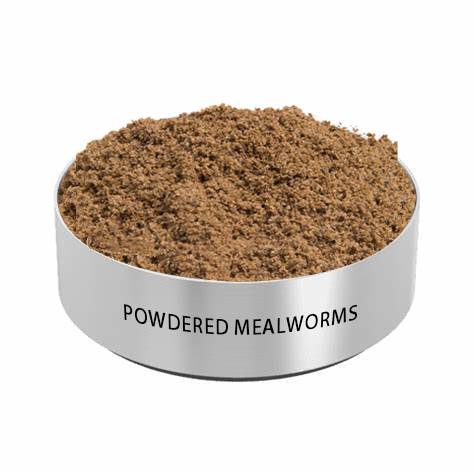 Dried mealworms powdered