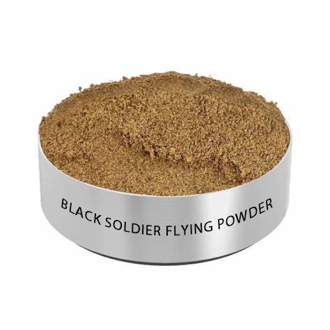 black soldier flying powder