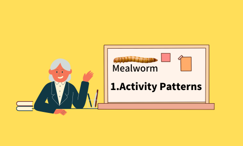 Mealworm：Activity Patterns
